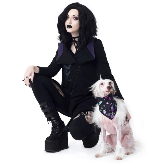 Rogue + Wolf ✦ Reversible Pet Bandana ✦ “I Pawed A Spell On You” w/ Crystal - Picture 5 of 14